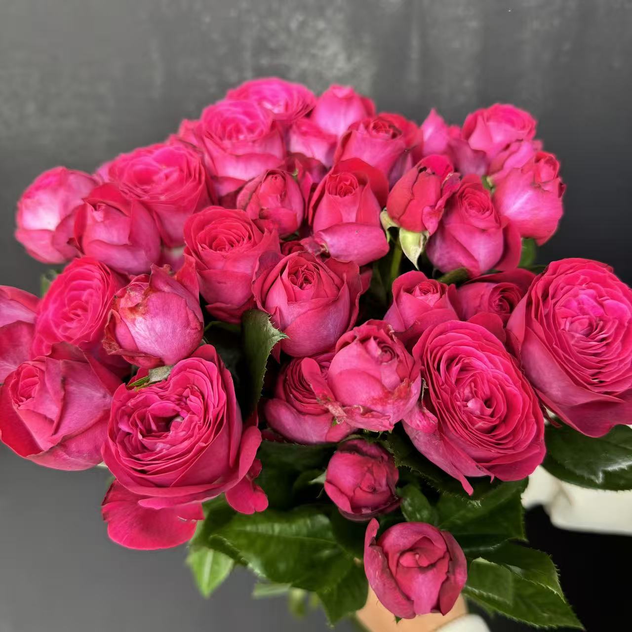 【花之物语】云斗香影多头玫瑰 包邮