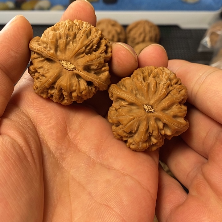 把件桃核4688644678