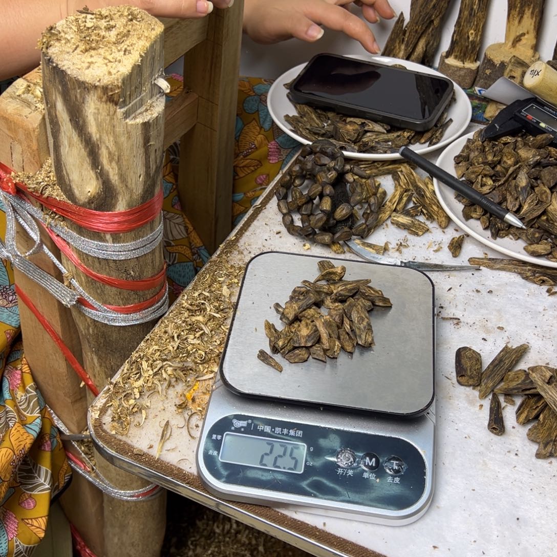 线香奇楠虫漏香20克