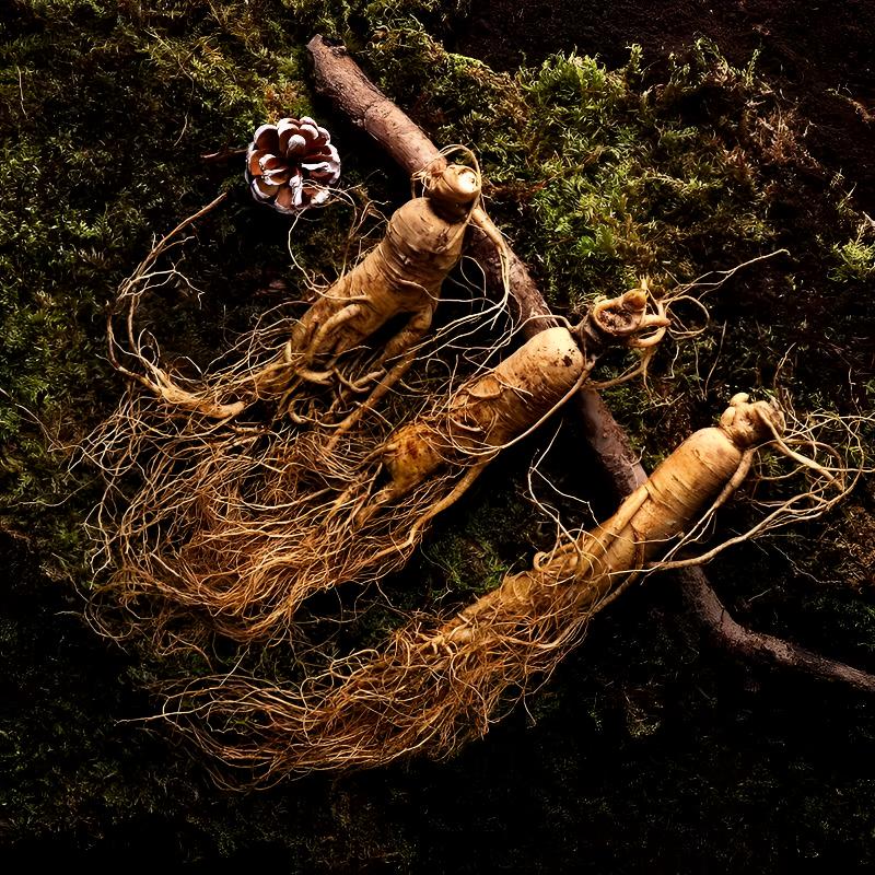 改价链接直播专享链接鲜人参吉林东北人参