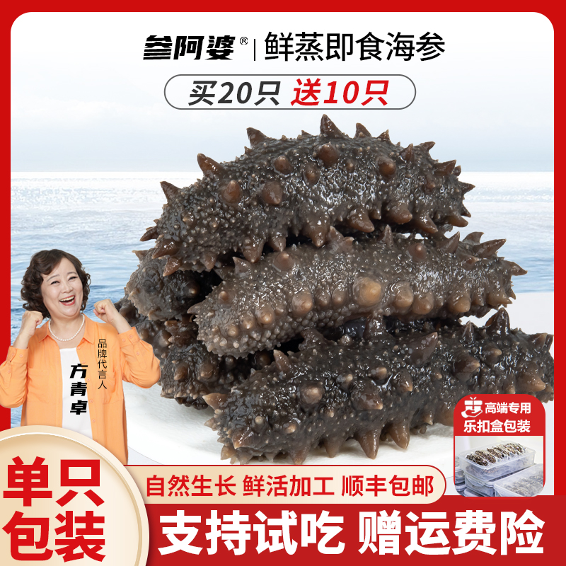 海参【官方补贴】参阿婆鲜蒸海参20头送10头开袋即食海参可配礼盒S2商品图