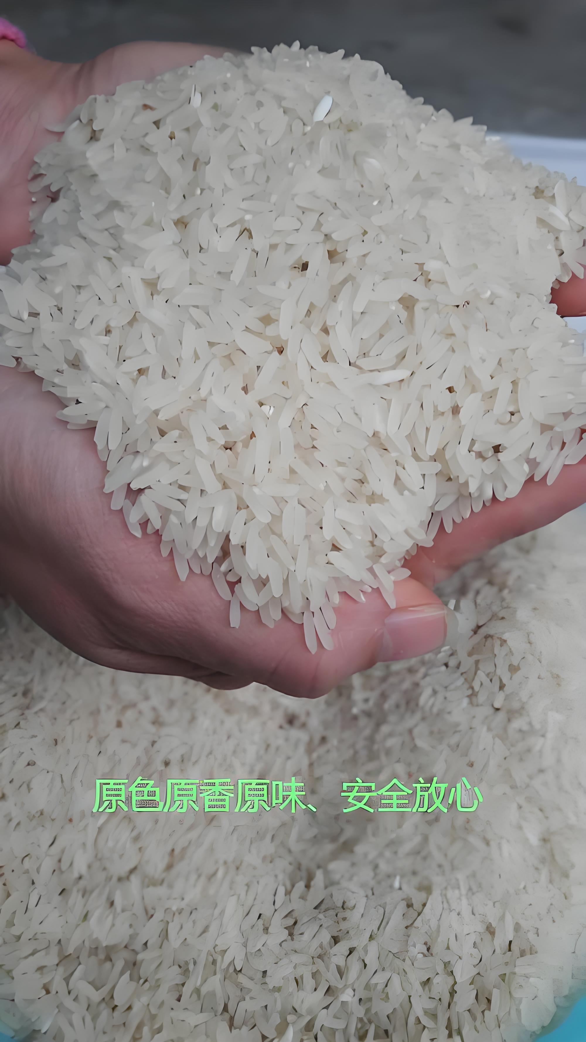 【寿乡大米】麻阳农家高山冷水稻