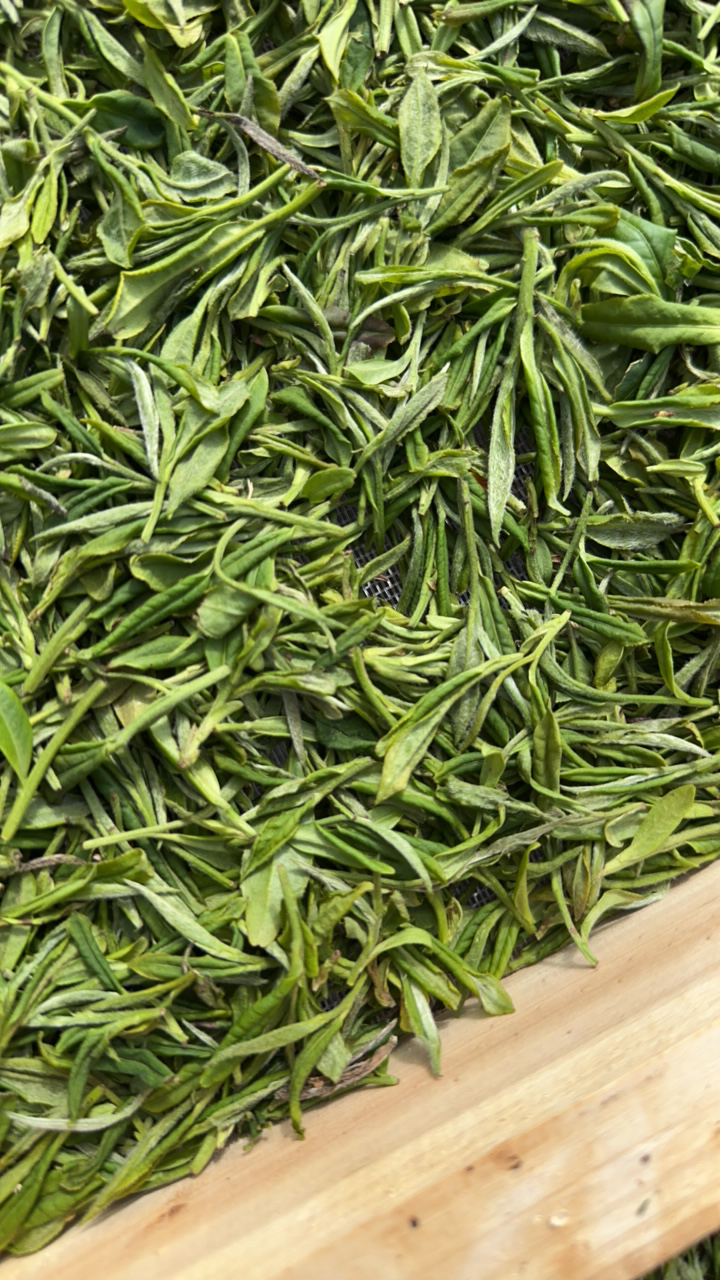 2025年野生贡眉土茶白茶