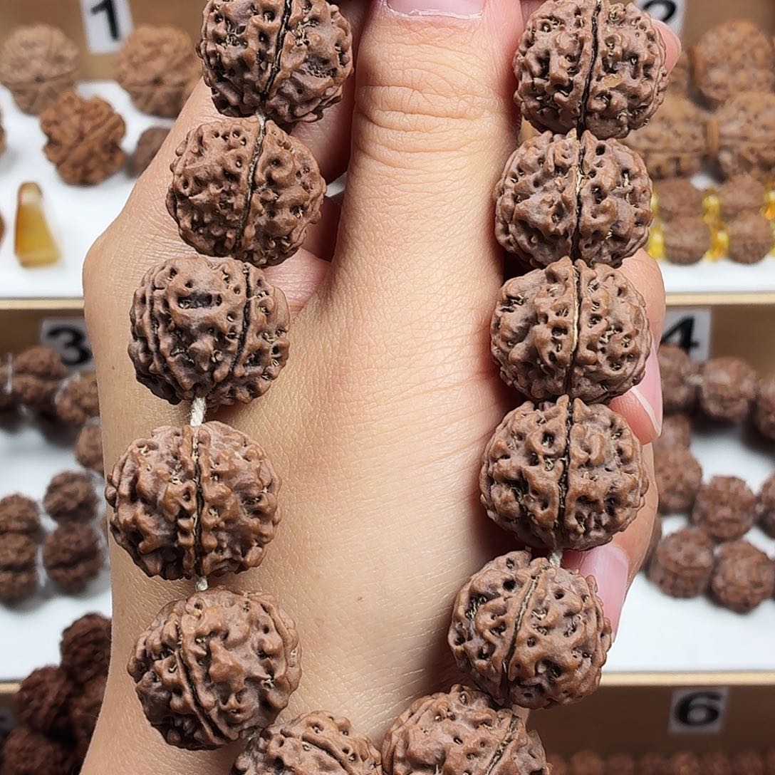 手串金刚菩提精品梅花粗筋蜂窝