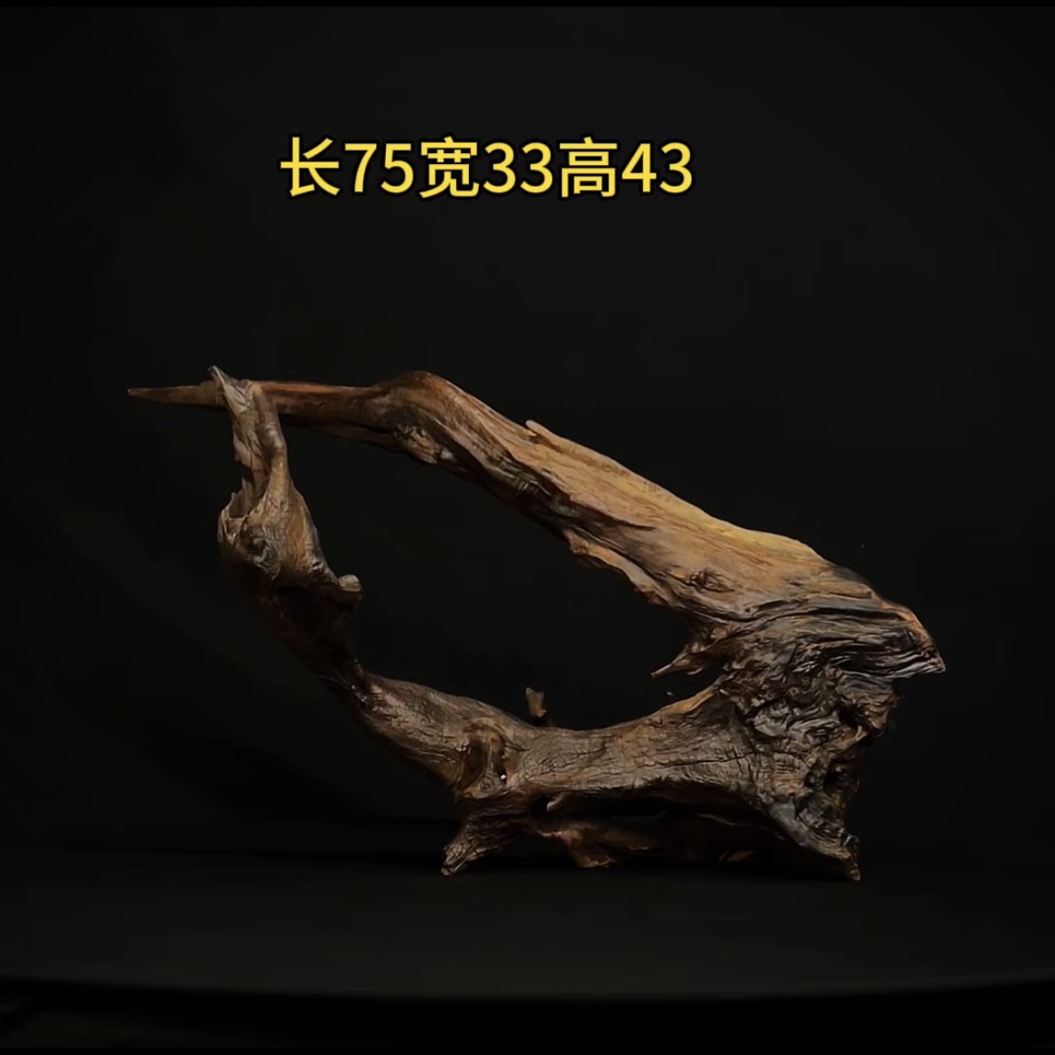张大狼造景沉木长75cm一体飘枝 南美鱼缸造景 紫柚木秒沉