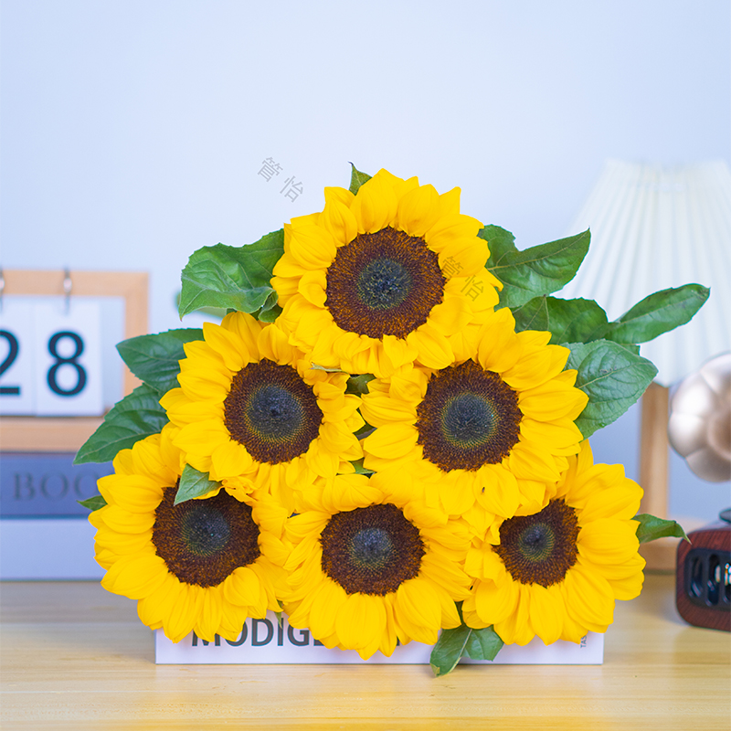 向日葵【拍二单升级空运】发的生花苞云南昆明基地直发