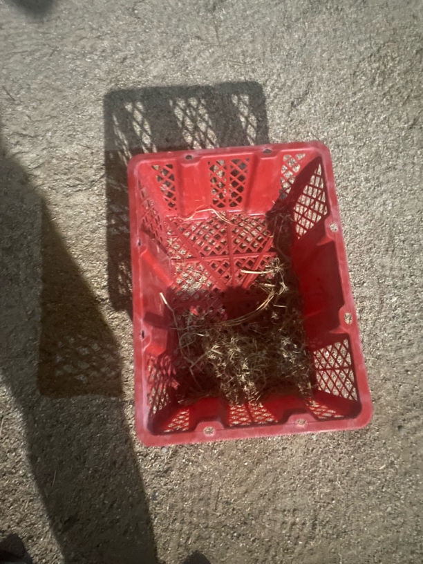 红色收纳框子，水果箱