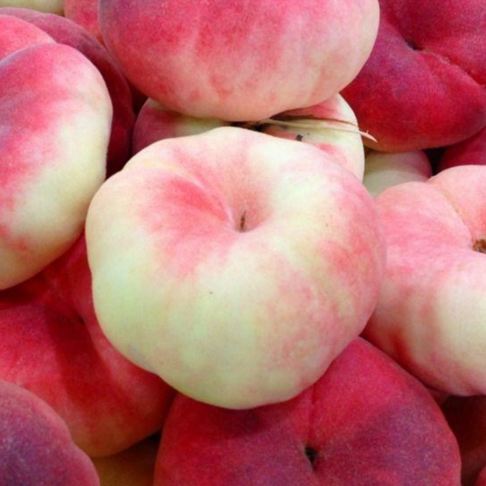 头茬王母蟠桃山东临沂汁水多香甜净果3/5斤冷链包邮当季新鲜水果桃子山东省