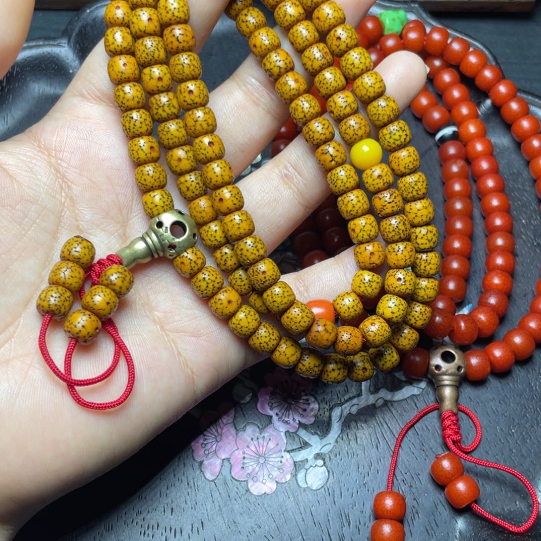 山***么星月菩提哈哈哈哈