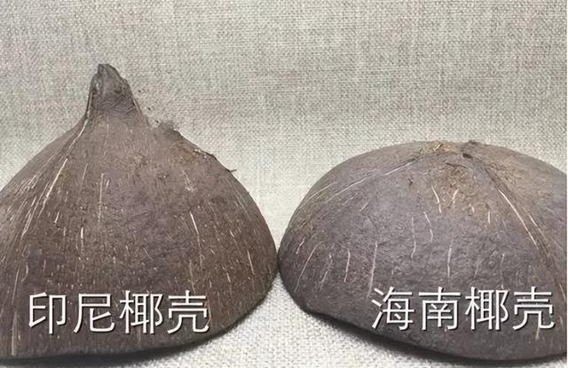 椰蒂椰壳星月菩提手串随机发