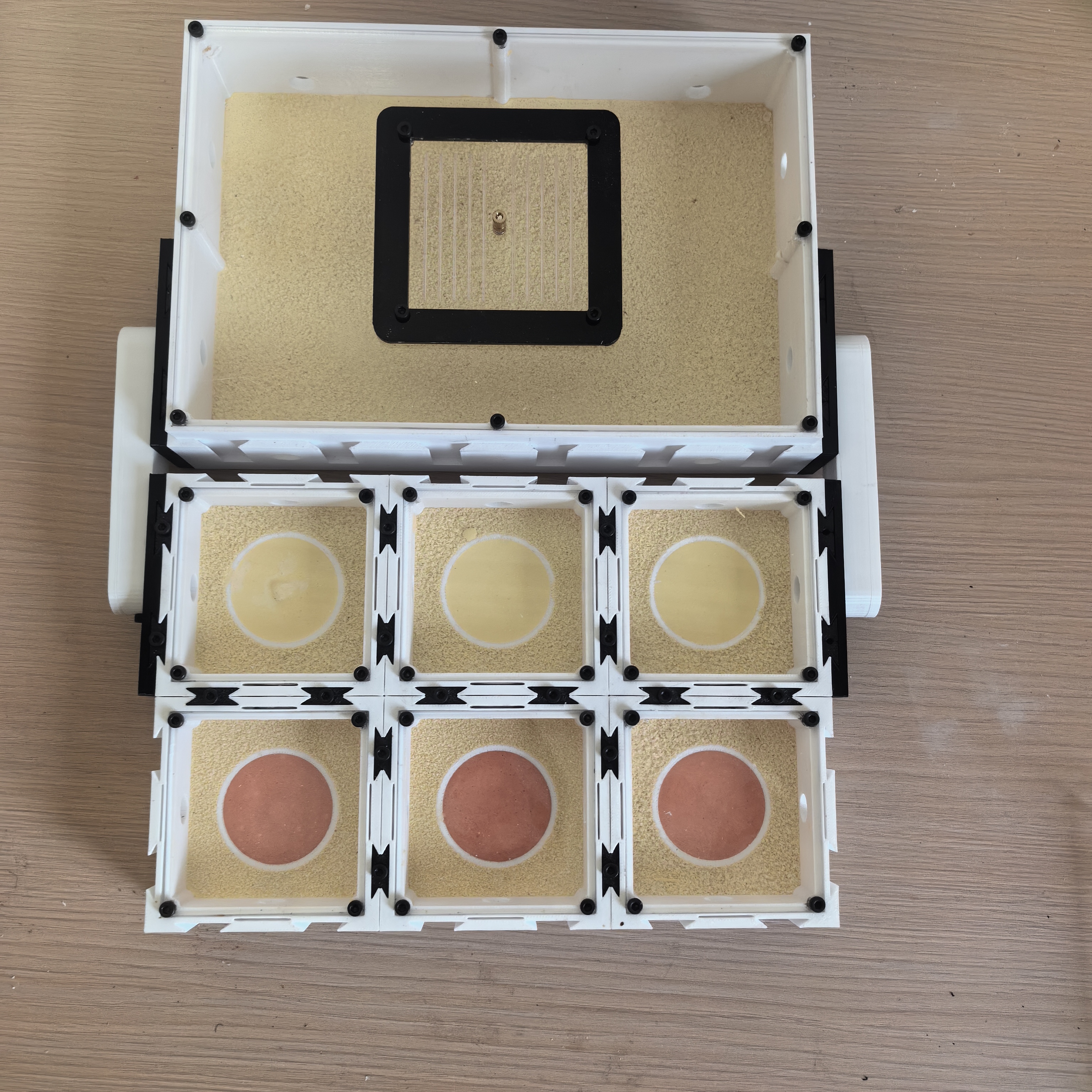 平面混凝土无限扩展折叠空气保湿介质科普桌面蚂蚁蚁巢生态