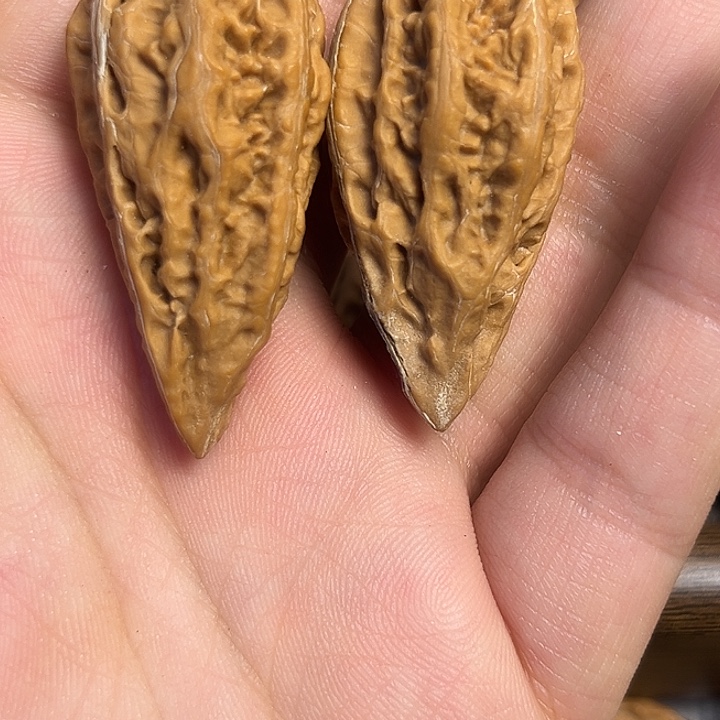 郑***师桃核吊坠秋子异形手捻