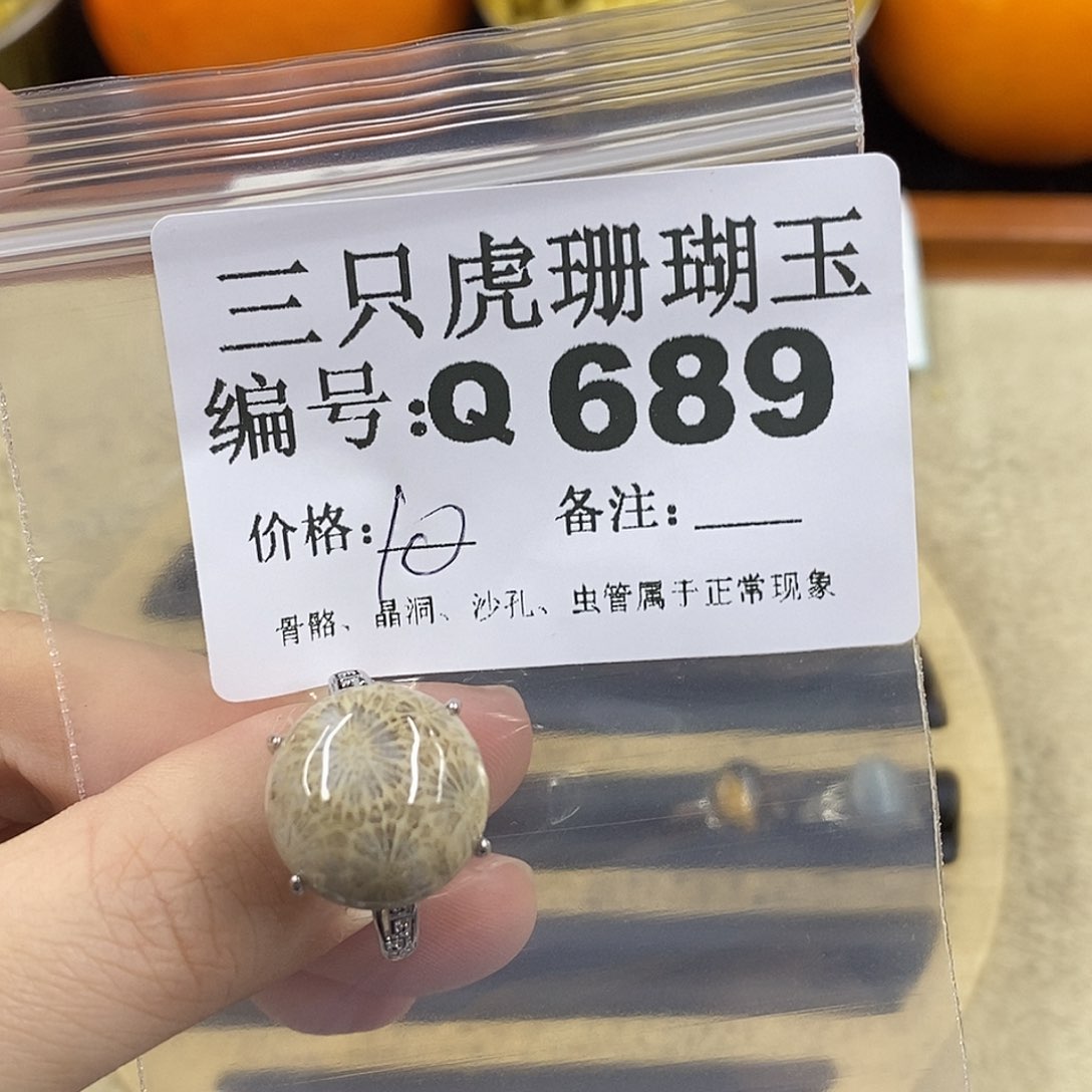 硅化珊瑚（珊瑚玉）1未镶嵌慧****1