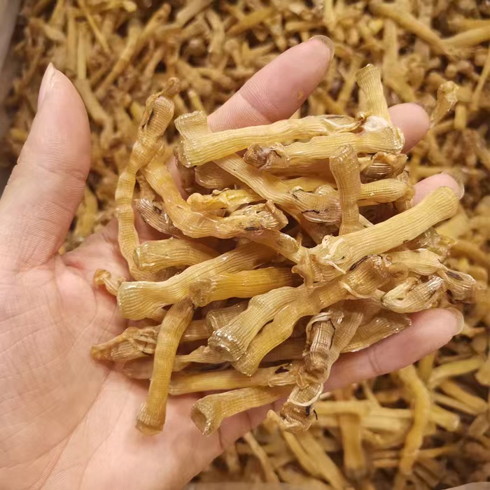湛江沙虫 沙虫干 白沙虫 煮粥煲汤 盐爆 干净无沙 