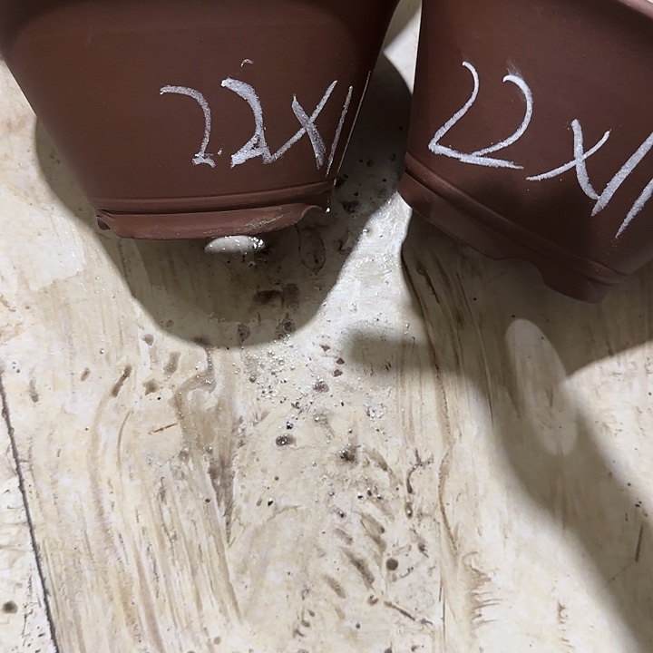 紫砂花盆破损包赔