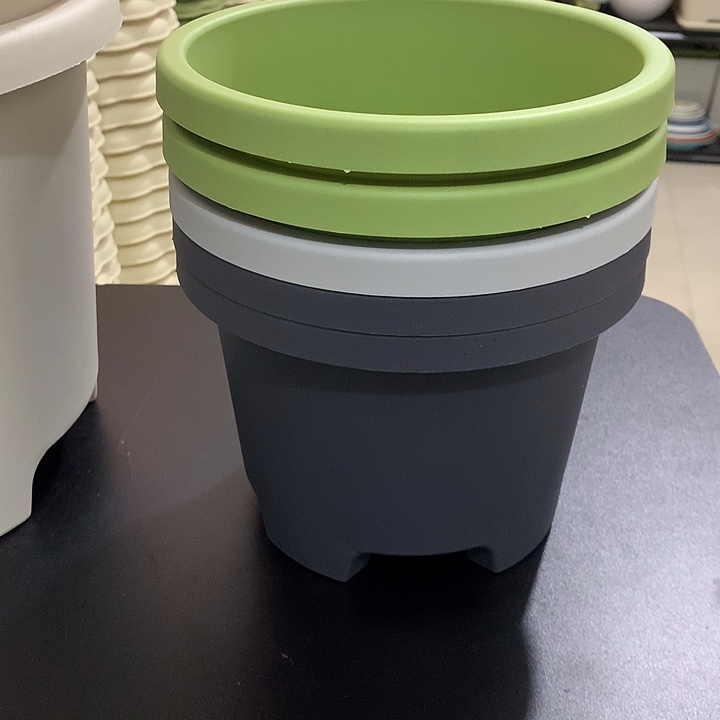 球根口21高15混色5个带托