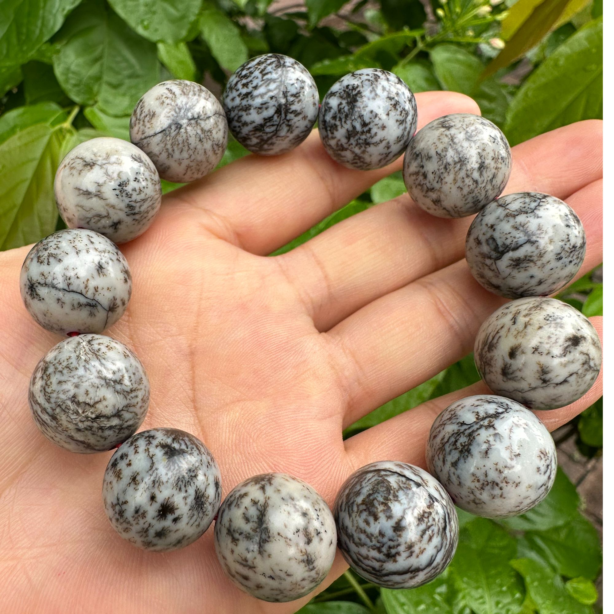 新疆和田玉手水草沁串卡18左右