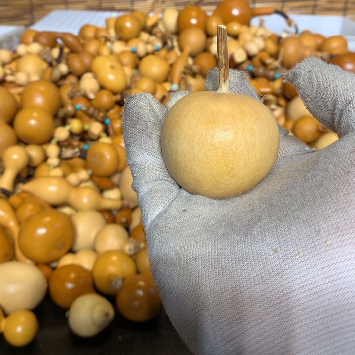 金蟾在水边游去天堑之间