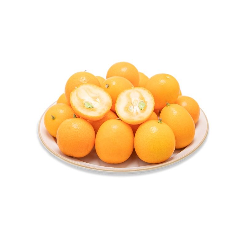 新鲜金桔 约500g