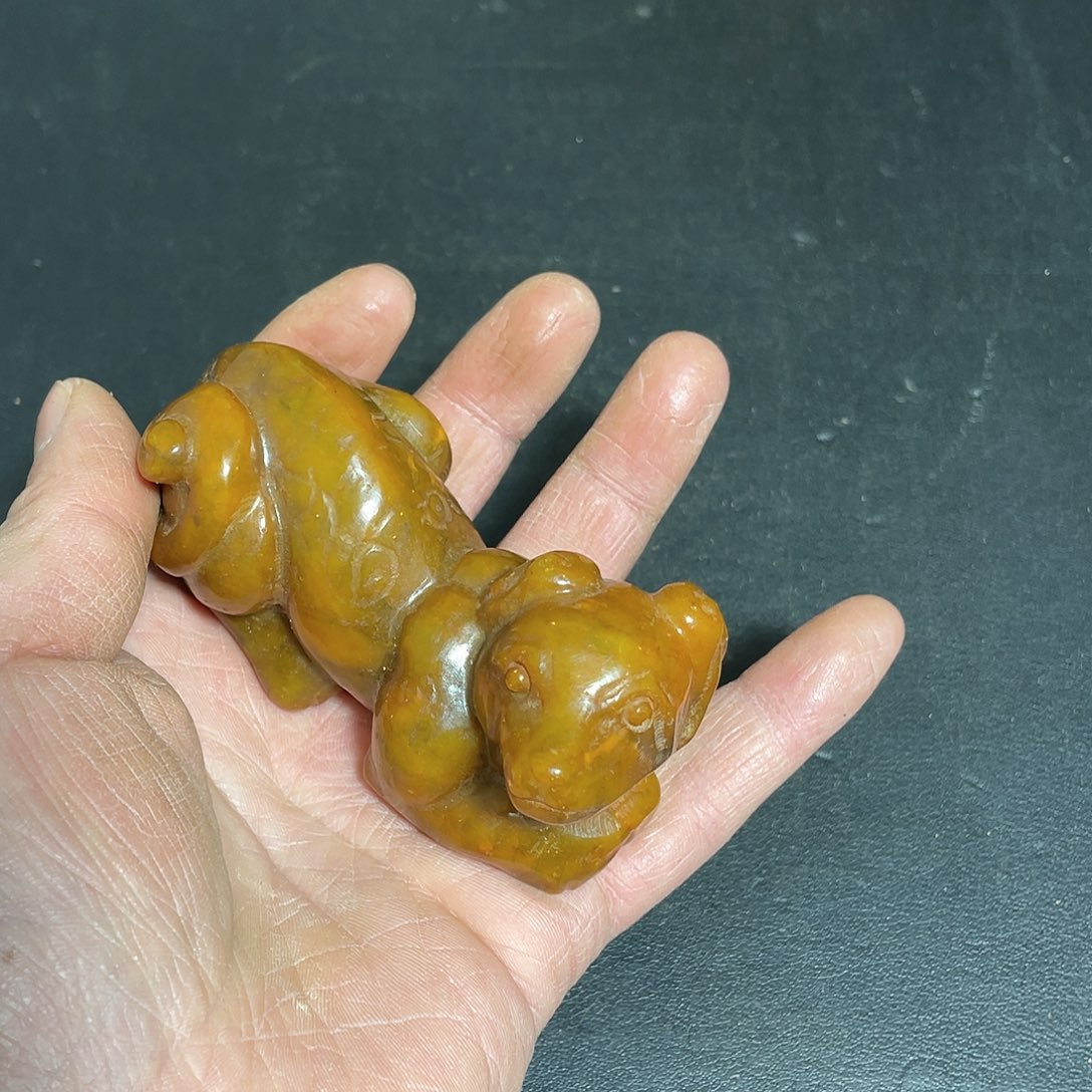 官方链接下单放心拍