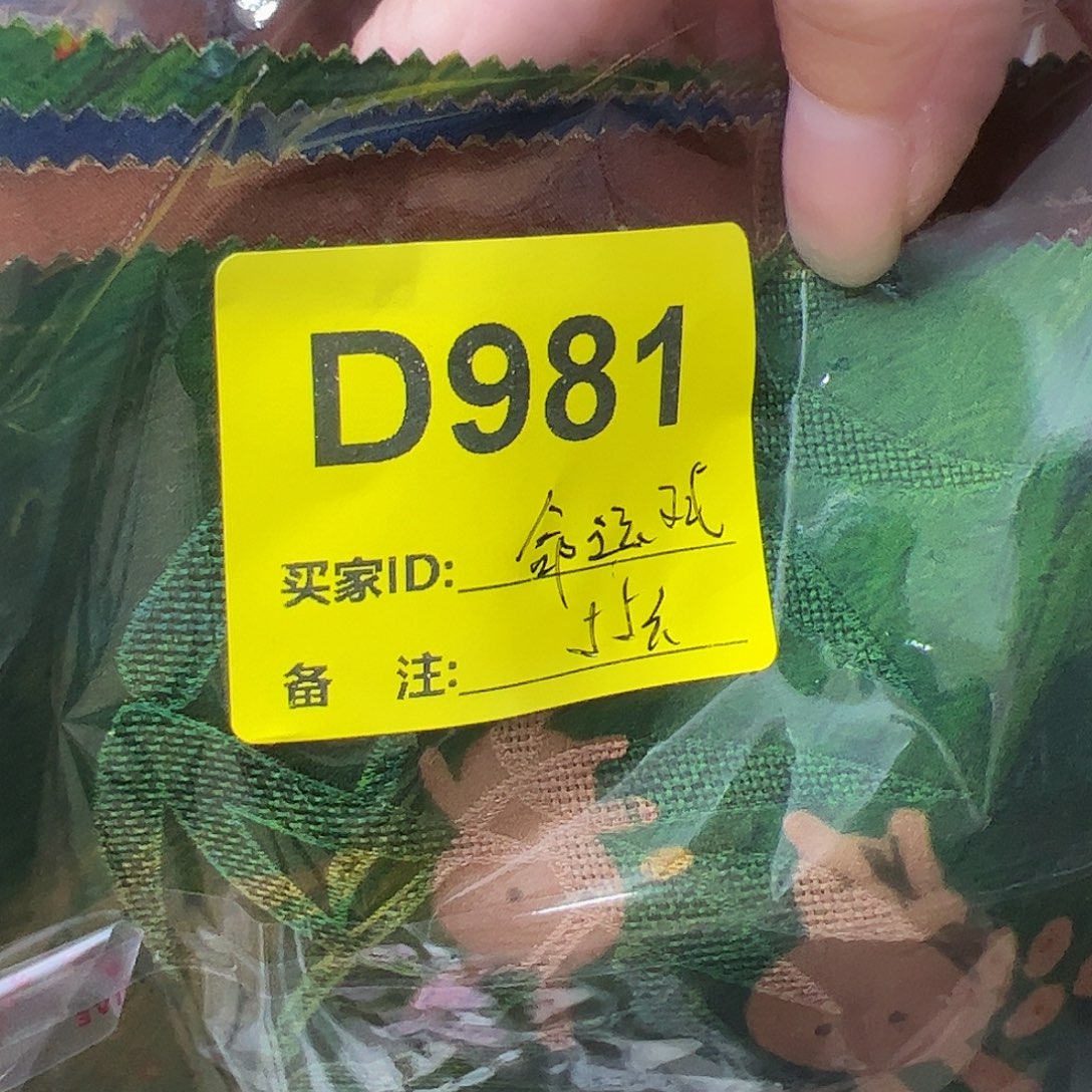 命****981”chiguoguohoujjile