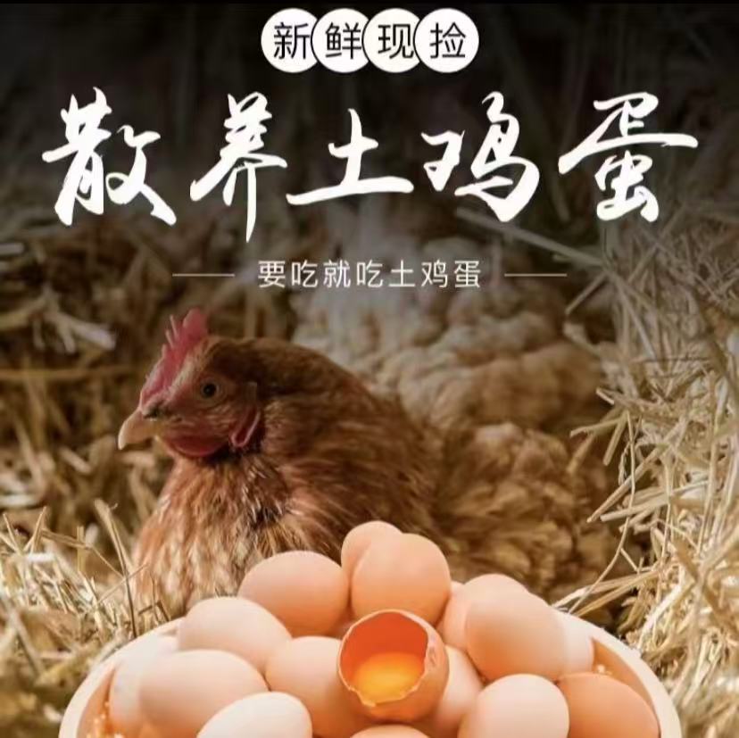 农家散养土鸡蛋谷物喂养适合小孩
