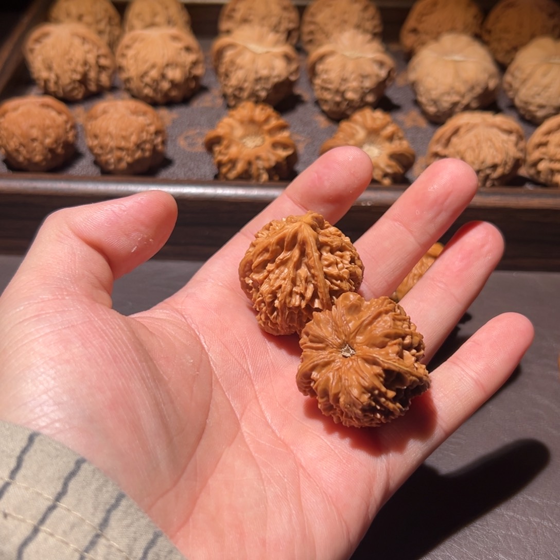 乔***君核桃35御龙奔哈哈哈哈