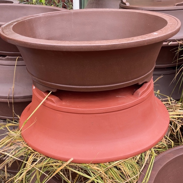 B***n特价处理紫砂两只紫色