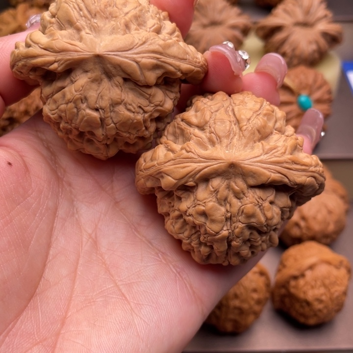 文玩核桃吊坠51全品龙鼎