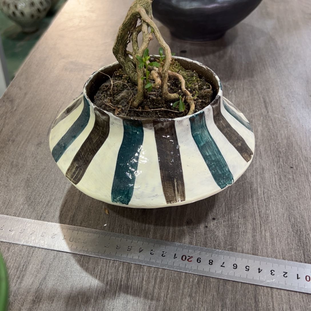 红陶口11高11无孔