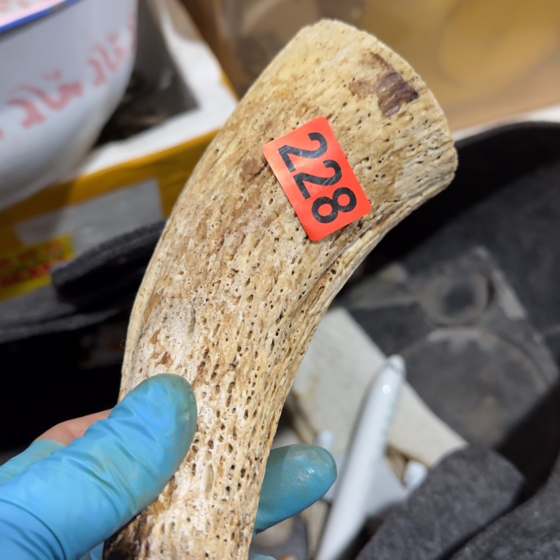 用***8杂色豆（科檀/科特迪瓦檀木）