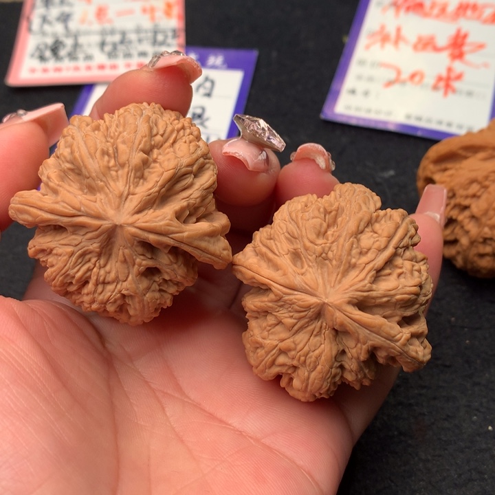 文玩核桃吊坠19号44粗筋全