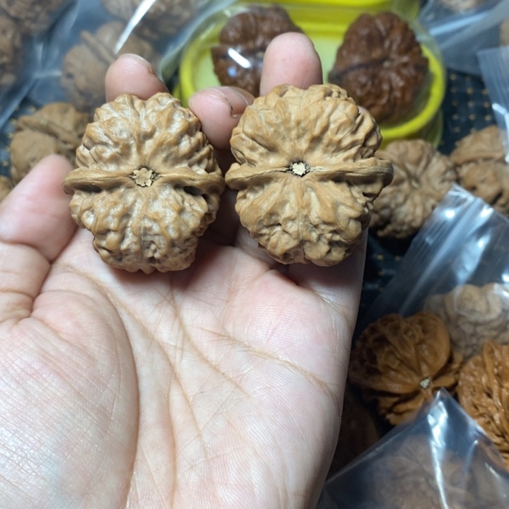 池***恩把件文玩核桃蛤蟆39