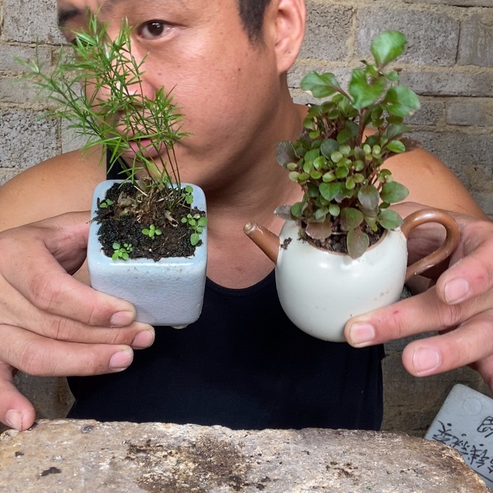 退款拉黑一物一拍136