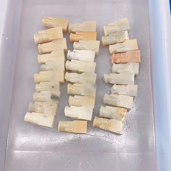 建***功青田石00000000000