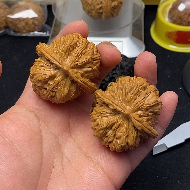 龙脊菩提吊坠四喜楼