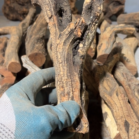 挺***好大果紫檀（缅甸花梨）