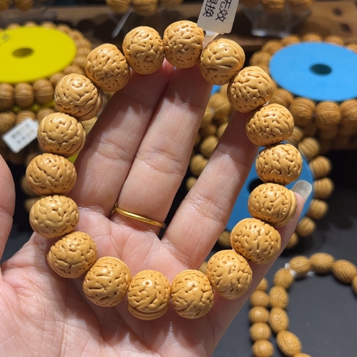 东***南16尺寸小金丹5号串