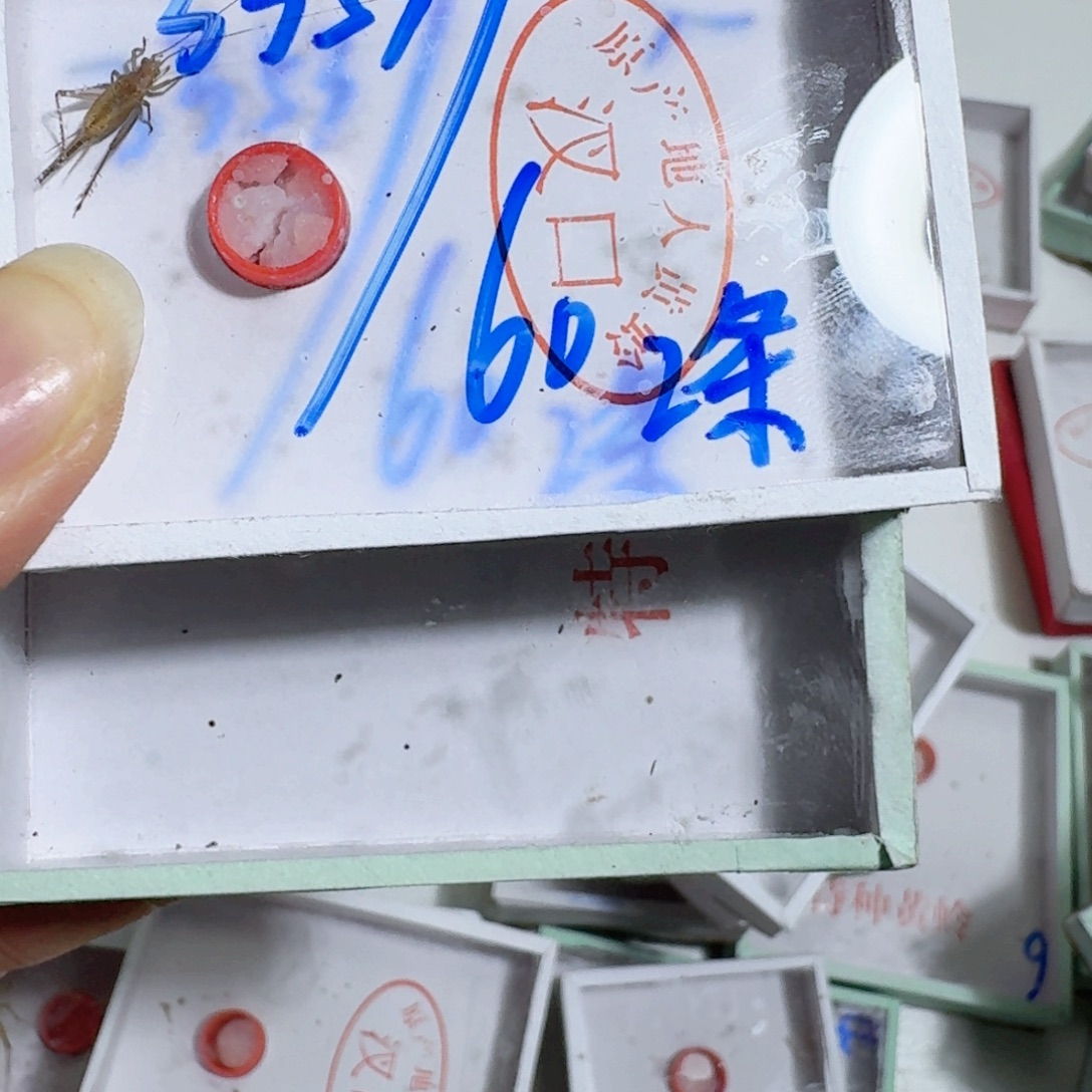 用***3蟋蟀蝈蝈你的电话怎么一直关机呢你