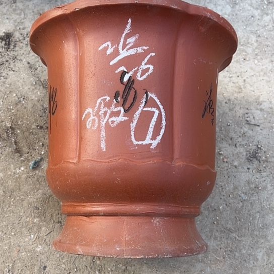 紫砂工艺厂、紫砂工艺厂