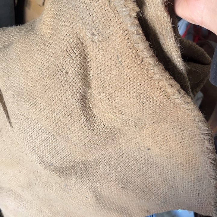 核桃木/黑胡桃（胡桃木）秦***艳