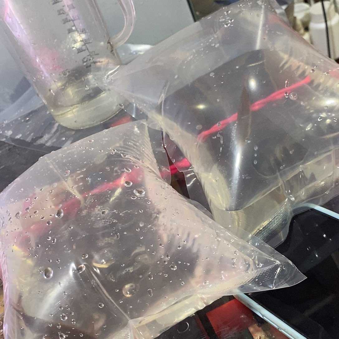 七彩神仙鱼紫红两点鲫公 7-8拉丝