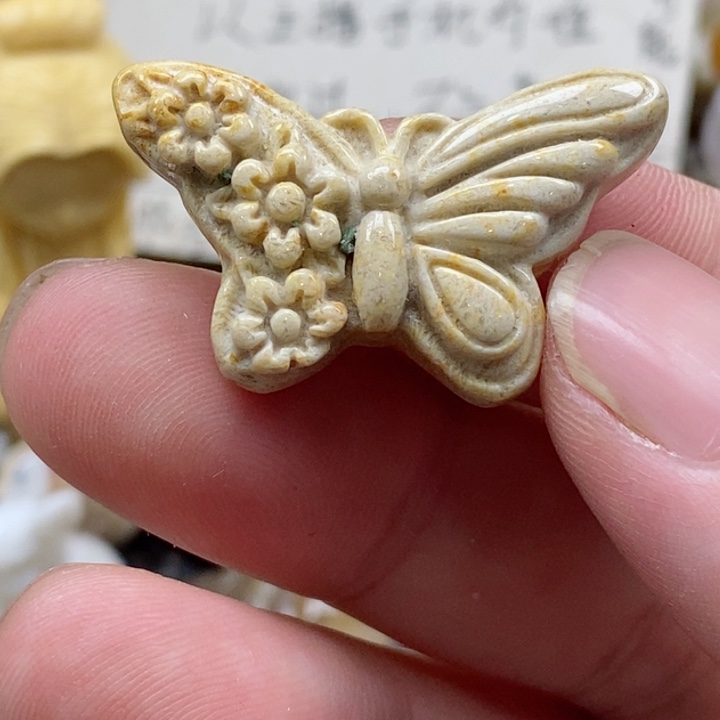 颈饰未镶嵌硅化珊瑚（珊瑚玉）小