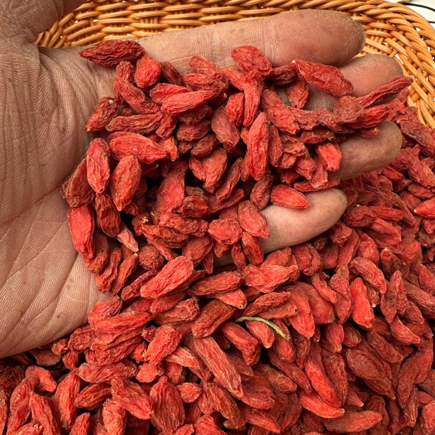 宁夏中宁大颗粒枸杞可泡茶泡酒滋补佳品