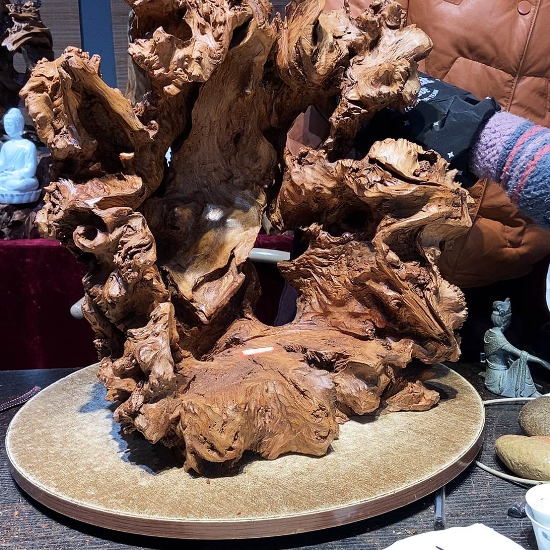 心***海726。红杉根随行根艺