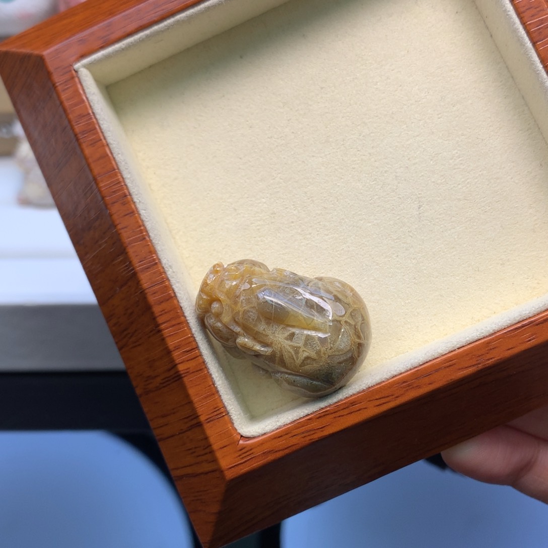 硅化珊瑚（珊瑚玉）颈饰未镶嵌万花筒貔貅