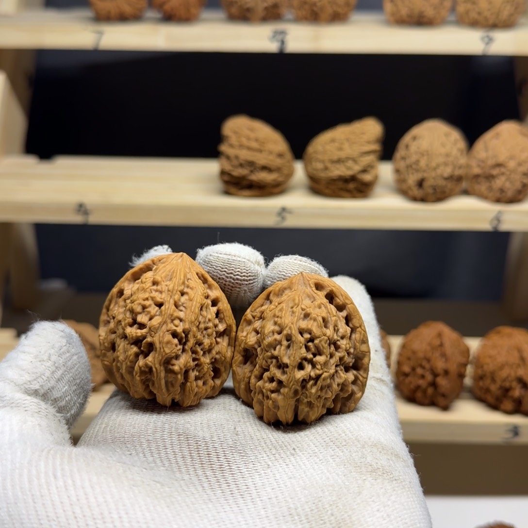 【闪购商品】M**R炮弹尖开裂