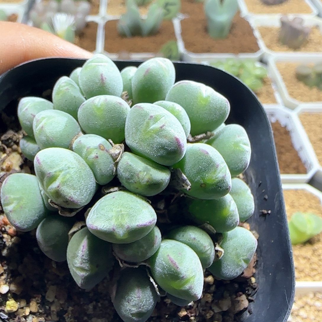 哈哈哈哈哈哈哈57206