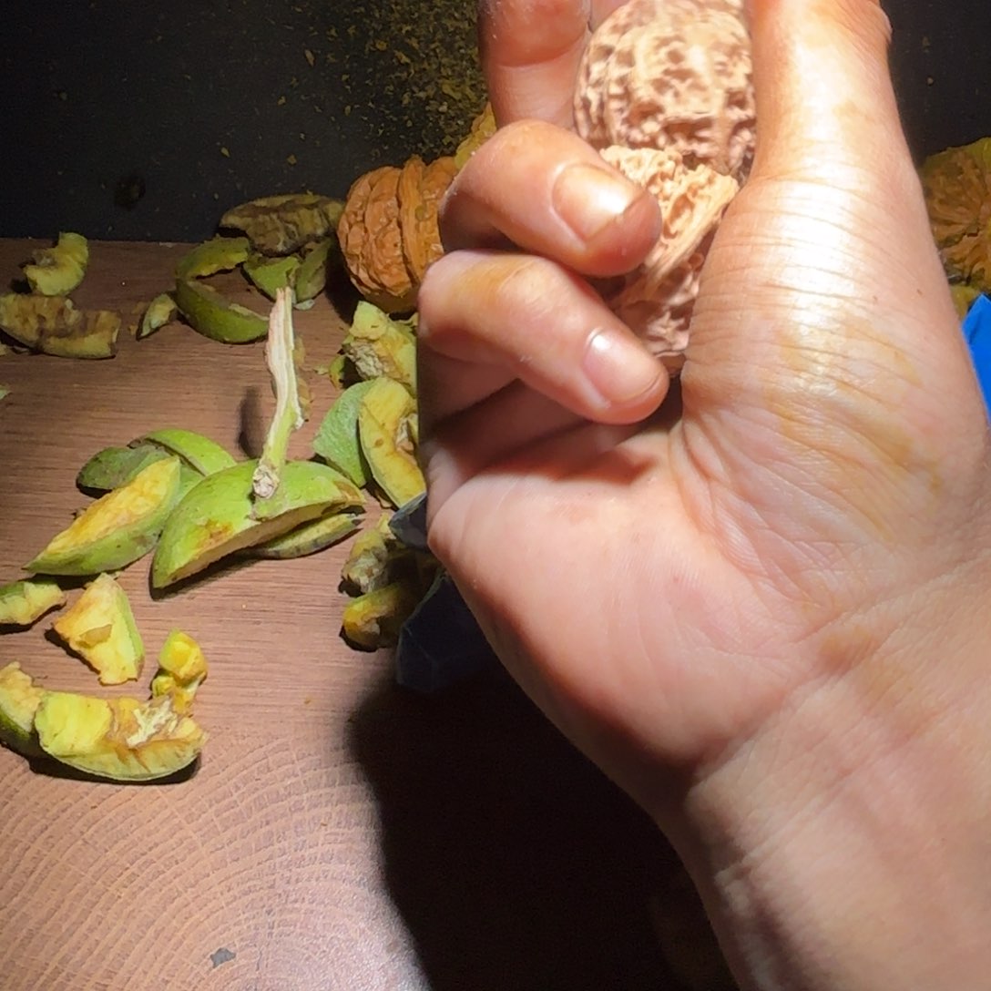 文玩核桃把件苹果园