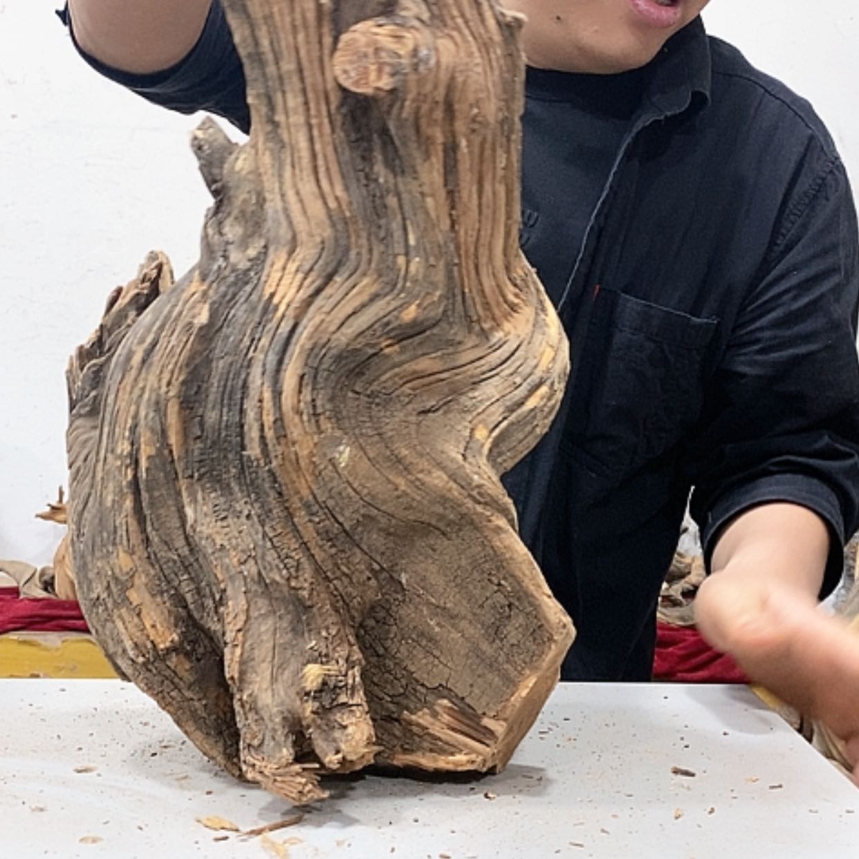 【闪购商品】柏木小*我们都是好孩子